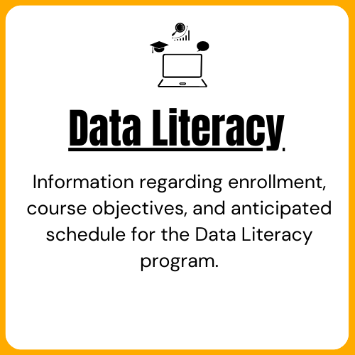 Data Literacy Program