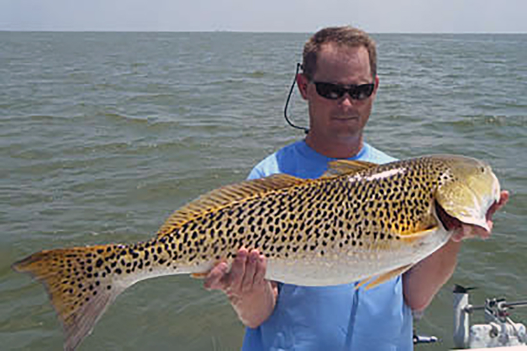 Red Drum Tag and Release, Center for Fisheries Research and Development