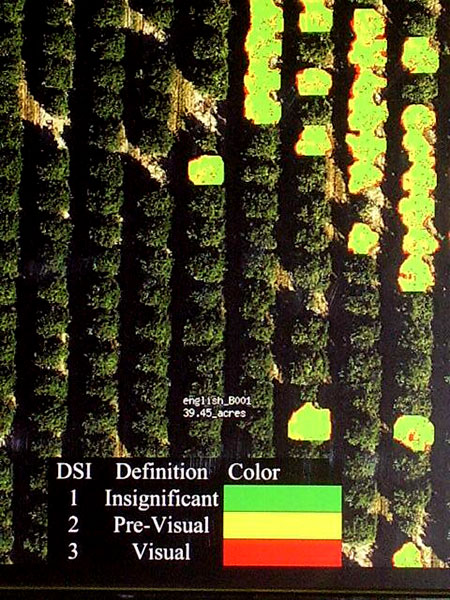 Datastar, Inc. demonstrates citrus grove disease detection using NASA derived re