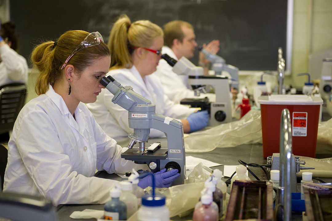 Medical Laboratory Science Undergraduate Programs The University Of 